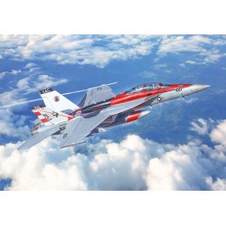 MODELO 1:48 F/A-18F SUPER HORNET US NAVY S8pecial Colors)