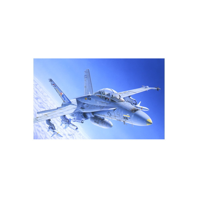 MODELO 1:72 F/A 18 WILD WEASEL C/D