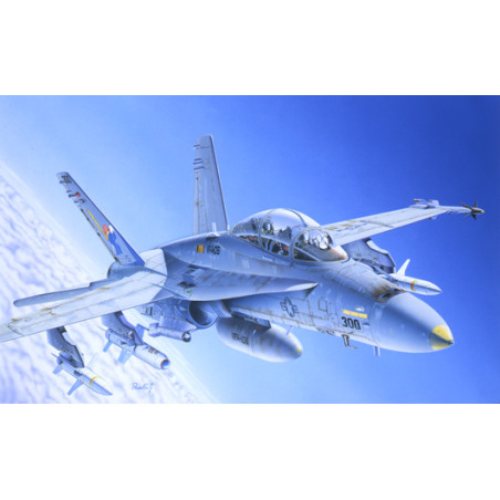 MODELO 1:72 F/A 18 WILD WEASEL C/D
