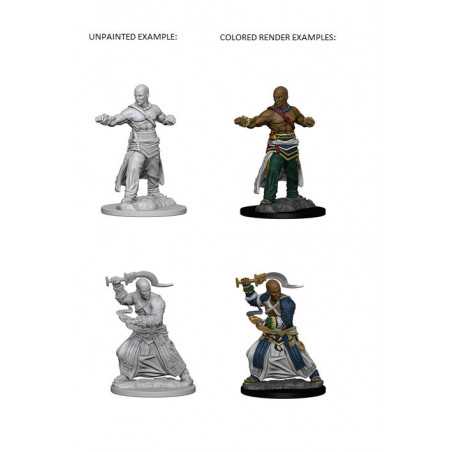 MINIATURAS PATHFINDER: HUMAN MALE MONK