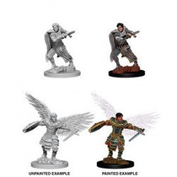 MINIATURAS D&D: MALE AASIMAR FIGTHER