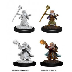 MINIATURAS D&D: MALE GNOME WIZARD