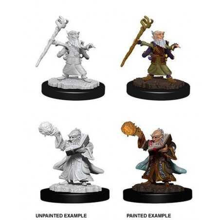 MINIATURAS D&D: MALE GNOME WIZARD