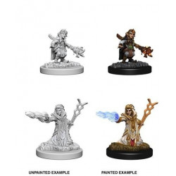 MINIATURAS D&D: FEMALE GNOME WIZARD