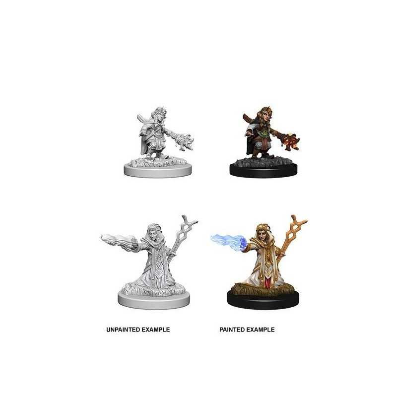 MINIATURAS D&D: FEMALE GNOME WIZARD