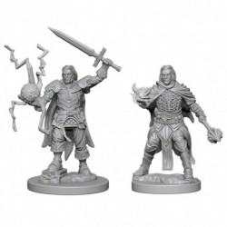 MINIATURAS PATHFINDER: HUMAN MALE CLERIC