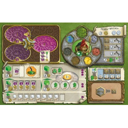 TERRA MYSTICA