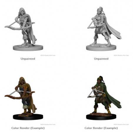 MINIATURAS D&D: HUMAN FEMALE DRUID