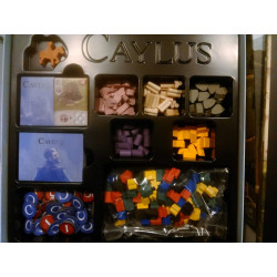 CAYLUS 1303
